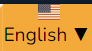 language translation button